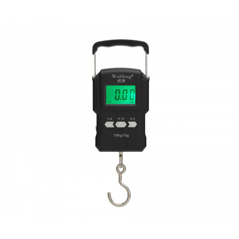 Portable Electronic Scale, view 3